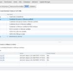 vSAN deployment and administrator’s Guide